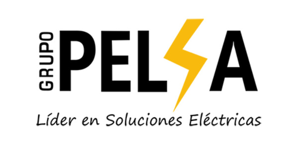 Grupo Pelsa